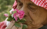 Un homme sent une rose de Damas à el-Mrah, près de Damas, en Syrie, le 11 mai 2016
