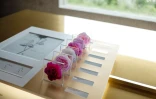 Les différentes variétés de roses cultivées au Domaine de la Rose, propriété de Lancôme, le 26 mai 2025 à Grasse, dans le sud de la France