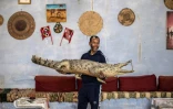 Mamdouh Hassan porte un crocodile empaillé dans sa maison située dans le village égyptien Gharb Soheil (sud), le 3 février 2020