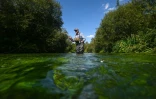 Bob Wellard, directeur de la Piscatorial Society, pêche à la mouche le 25 août 2026 dans la rivière Itchen, en Angleterre