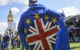 Beaucoup de drapeaux de l'Union européenne flottaient, samedi 9 septembre sur la manifestation "anti-Brexit" à Londres