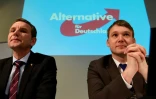Bjorn Höcke (g) et Andre Poggenburg, membres du parti d'extrême droite allemand AfD, le 11 mars 2016 à Magdeburg