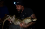 Le biologiste Ricardo Freitas tient un caïman capturé dans la lagune de Jacarepaguá, dans le quartier de Recreio dos Bandeirantes, à l'ouest de Rio de Janeiro, le 22 novembre 2023 au Brésil
