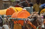 Un jeune Somalien remplit d'eau des bidons sur une cariole tirée par un âne, le 15 mars 2017 à Baidoa, dans le sud-ouest de la Somalie