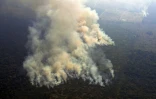 Photo aérienne de feux dans la forêt amazonienne à environ 63 km de Porto Velho, dans l'Etat septentrional brésilien de Rondonia, le 23 août 2019