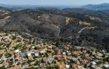 Vue aérienne de zones calcinées après un incendie de forêt à Varnavas, près d'Athènes, le 14 août 2024 en Grèce