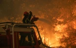 Photographie prise le 24 juillet 2026 par le caporal-chef Damien Rembert du SDIS33 montrant des pompiers luttant contre le feu près de Saumos et de Sainte-Hélène, au nord-ouest de Bordeaux