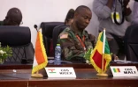 Les drapeaux du Niger et du Mali lors de la réunion extraordinaire de la Communauté économique des États de l'Afrique de l'Ouest (CEDEAO) à Accra, le 17 août 2023 au Ghana