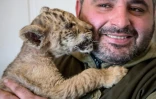 Erik Airapetyan, directeur de zoo, tient dans ses bras le ligre Tsar, à Kamensk-Chakhtinski dans la région de Rostov en Russie le 26 janvier 2017