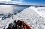 Des touristes à bord d'un bateau dans la baie de Disko, le 28 juin 2022 à Ilulissat, au Groenland 