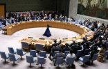 Le Conseil de sécurité de l'ONU vote une résolution sur l'Ukraine, le 24 février 2025 à New York