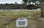Une ferme de carands à Bourriot-Bergonce, en France, le 22 février 2017