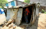 Mirabai Khindkar, dont le mari Amol, agriculteur, s'est suicidé en raison de l'accumulation de prêts financiers, dans sa baraque du village d'Ambilwadgaon, dans l'Etat du Maharashtra, le 3 mai 2025 en Inde
