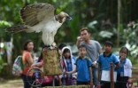 Des enfants visitent la fondation philippine pour les aigles à Davao le 17 février 2016