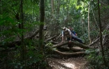 Des touristes sur un chemin de randonnée qui fera partie du futur sentier de 8.000 à travers le Brésil, le 21 juillet 2019 à Rio de Janeiro