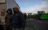 Un convoi d'agriculteurs près de Toulouse le 7 janvier 2026