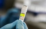 Un tube utilisé pour le diagnostic de l'hantavirus des Andes, à l'institut Malbrán de Buenos Aires, le 6 mai 2026. Photo transmise par le ministère de la Santé argentin