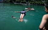 Un baigneur plonge dans une portion surveillée du lac du Bourget, en Savoie, le 8 août 2025