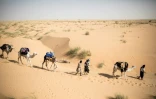 "Il reste tant de choses à documenter": Thierry Tillet (D) prépare déjà sa prochaine méharée. Dans le désert mauritanien, le 26 janvier 2020