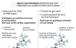 Gaz sarin, VX : 2 puissants agents innervants