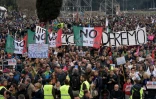 Des milliers de manifestants brandissent des banderoles où l'on peut lire "non aux unions civiles", lors d'une journée de protestation nationale, à Rome le 30 janvier 2016