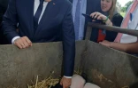 Le président français Emmanuel Macron lors d'une visite à Verneuil-sur-Vienne (Haute-Vienne), le 9 juin 2017