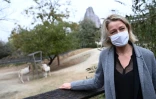 La ministre de la Transition écologique Barbara Pompili au zoo de Vincennes à Paris, le 29 septembre 2020