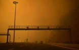 Photo prise le 23 juillet 2018 montrant une route enfumée par un incendie à Kineta près d'Athènes