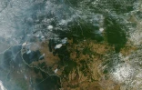 Photo publiée le 21 août 2019 par la NASA montrant plusieurs incendies dans les Etats brésiliens d'Amazonas, Para, Mato Grosso et Rondonia