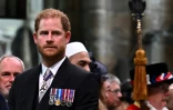 Le prince Harry lors du couronnement de son père le roi Charles III à l'Abbaye de Westminster, le 6 mai 2023 à Londres