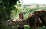 L'éleveuse de chameaux Camille Tessier sà la ferme "Prairie de Cameline", à Terre de Bancalier, près de Toulouse, le 17 mai 2022