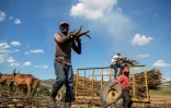 Des ouvriers récoltent de la canne à sucre dans une plantation près d'El Seibo, dans l'est de la République dominicaine, le 27 mars 2023