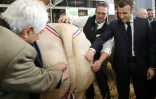 Emmanuel Macron au salon de l'agriculture le 22 février 2020
