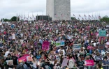Des milliers de personnes manifestent pour le droit à l'avortement à Washington, le 14 mai 2022 