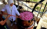 Zahraa Sayed Ahmed prépare de l'eau de rose, dans son village de Qsarnaba, dans l'est du Liban, le 11 mai 2023