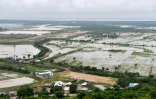 Vue aérienne du 16 octobre 2020 montrant des rizières près du lac Tonlé Sap dans la province de Siem Reap, au Cambodge