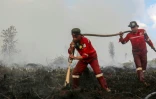Des pompiers luttent contre des incendies sur des tourbières à Pulang Pisau, en raison d'une saison sèche prolongée, le 31 juillet 2026 dans la province du Kalimantan central, en Indonésie
