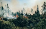 Image transmise par la Société de protection des forêts d'un feu survenu dans le centre de la province de Québec, le 21 juillet 2023