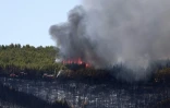 Des pompiers luttent contre un incendie de forĂŞt Ă Taradeau, le 20 juillet 2026 dans le Var