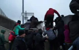 Capture d'écran d'une video de Taranis News en date du 24 janvier 2016, de migrants défonçant une clôture pour monter sur un ferry à Calais