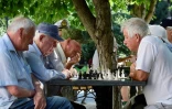 Des joueurs d'échecs à Sébastopol, le 15 juillet 2022 en Crimée