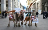 Un groupe d'activistes du mouvement de défense des animaux PETA déguisés en "hommes des cavernes" lors d'une action baptisée "la fourrure appartient à l'âge de pierre" lors de la Fashion Week de Milan, le 24 février 2026