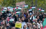 Manifestation non autorisée en soutien aux Palestiniens, le 12 octobre 2023 à Paris