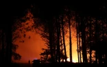 Feu de forêt dans les Landes, à Luglon, le 13 août 2026