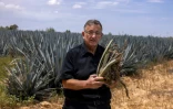 L'homme d'affaires israélien Aviel Leitner tient une plante d'agave dans un champ à la périphérie d'Urim, dans le nord du désert du Néguev, près de la frontière israélienne avec Gaza, le 4 mai 2025