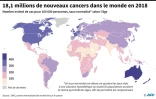 18,1 millions de nouveaux cancers dans le monde en 2018