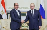 Le président russe Vladimir Poutine (d) rencontre le président égyptien Abdel Fattah El-Sisi à Strelna, près de Saint-Pétersbourg, le 26 juillet 2023