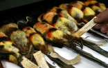 Le biologiste Andrés Cuervo, conservateur de la collection d'Ornithologie de l'Institut des Sciences Naturelles, montre des espèces embaumées dans le laboratoire de recherche scientifique de l'Université nationale de Bogota, le 23 février 2024 en Colombie
