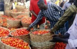 Le marché de légumes de Yankaba à Kano, au Nigeria, le 15 janvier 2016