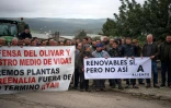 Manifestation d'agriculteurs pour sauver leurs champs d'oliviers le 24 mars 2025 à Lopera, près de Jaen, dans le sud de l'Espagne